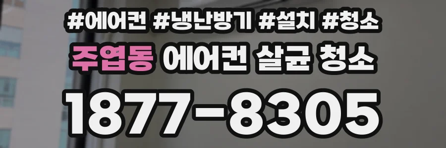 주엽동 에어컨 살균 청소
