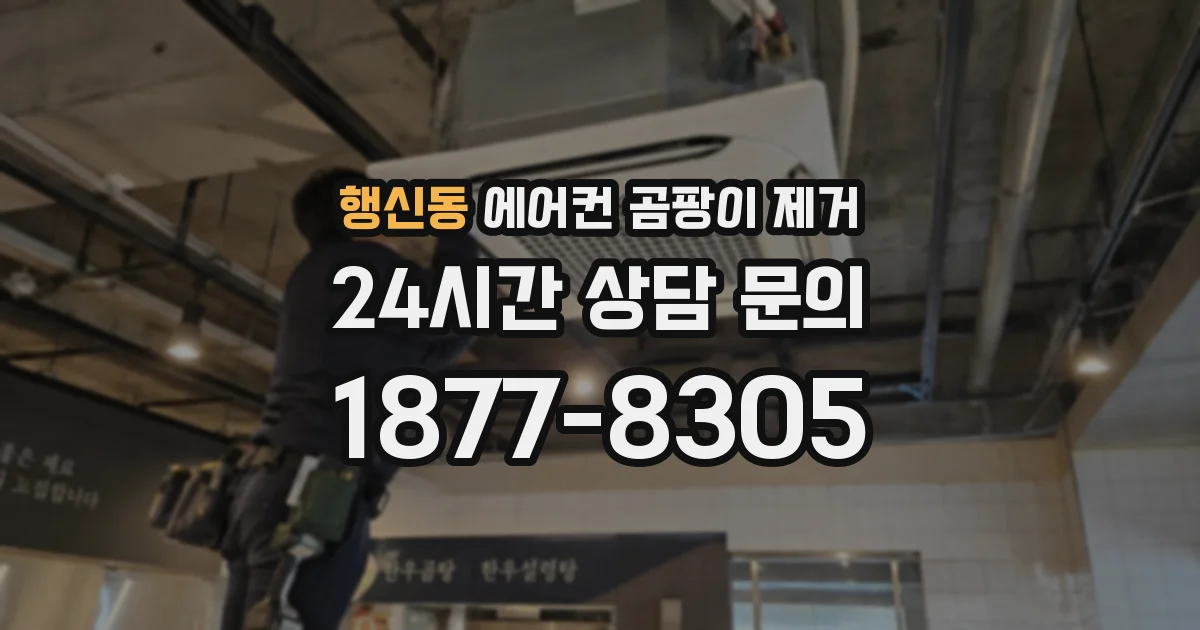행신동 에어컨 곰팡이 제거