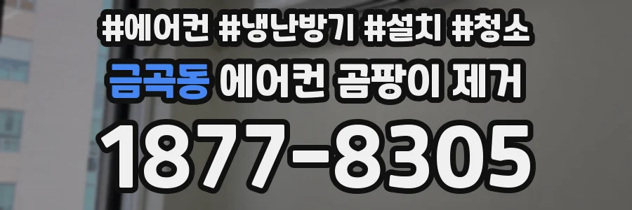 금곡동 에어컨 곰팡이 제거