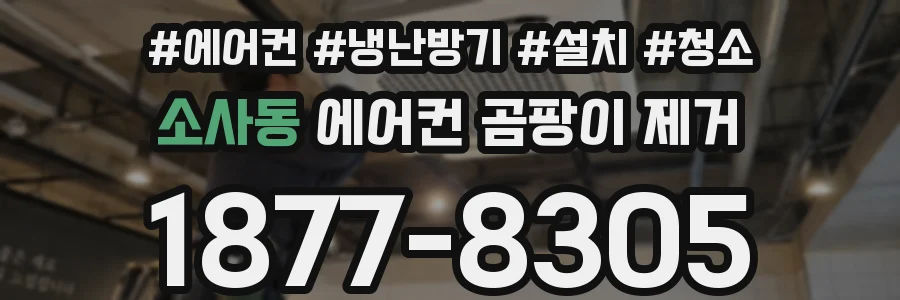 소사동 에어컨 곰팡이 제거