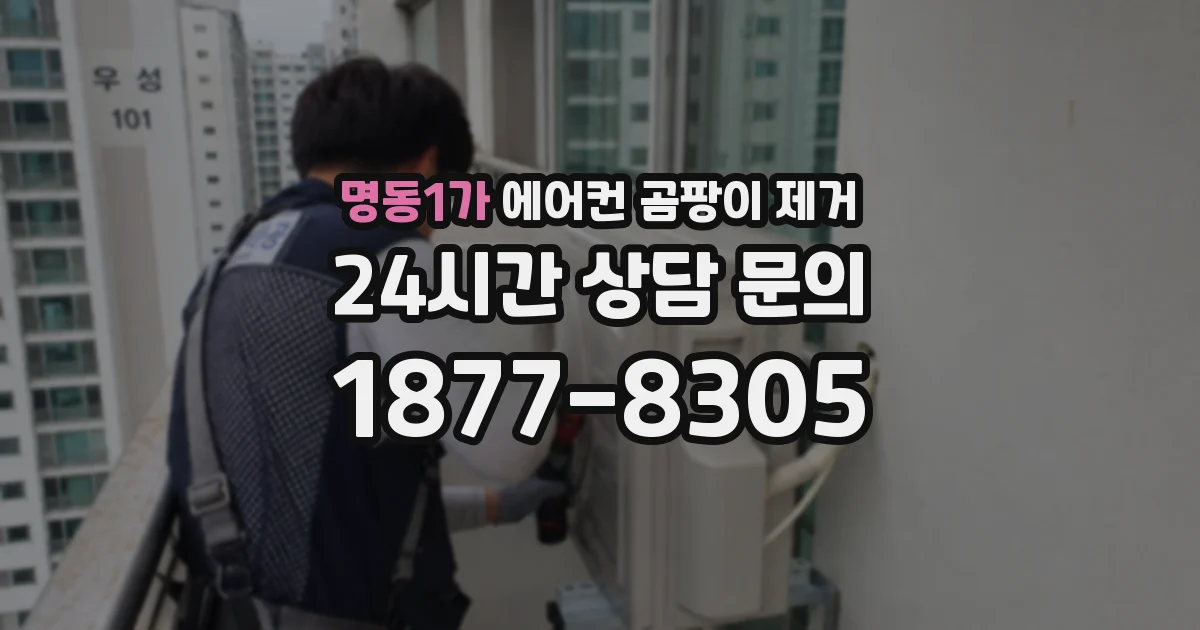명동1가 에어컨 곰팡이 제거