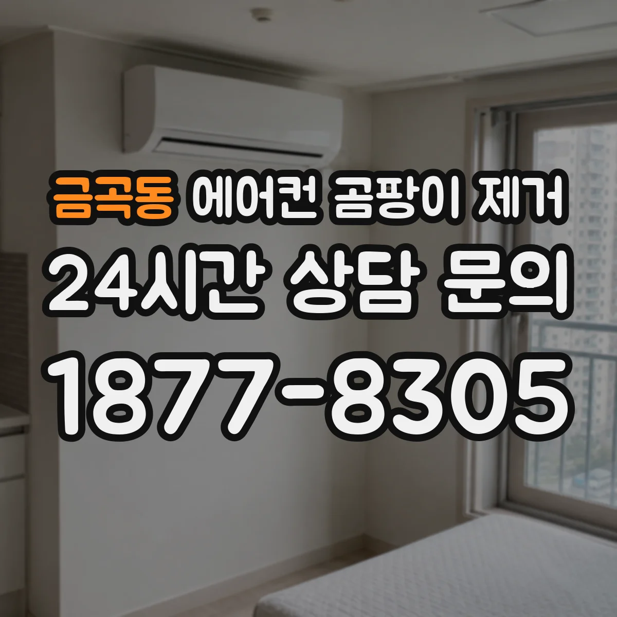 금곡동 에어컨 곰팡이 제거
