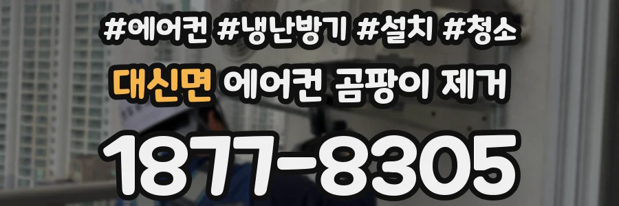 대신면 에어컨 곰팡이 제거