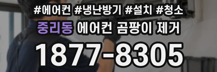 중리동 에어컨 곰팡이 제거