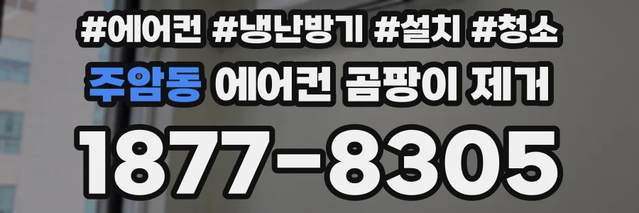 주암동 에어컨 곰팡이 제거