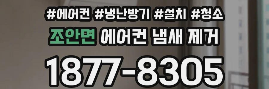 조안면 에어컨 냄새 제거
