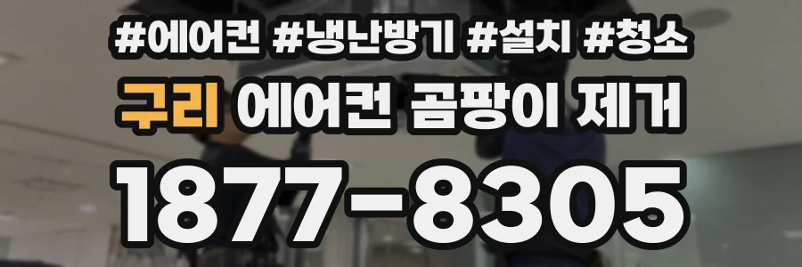 구리 에어컨 곰팡이 제거