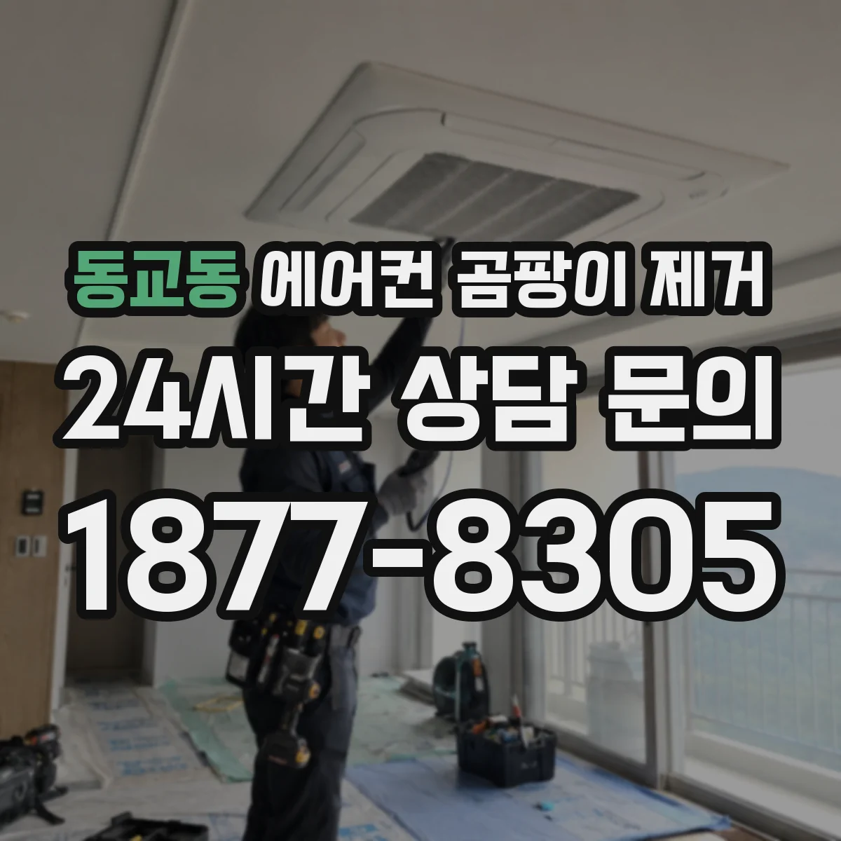 동교동 에어컨 곰팡이 제거