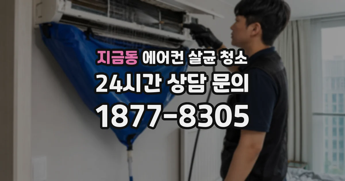 지금동 에어컨 살균 청소