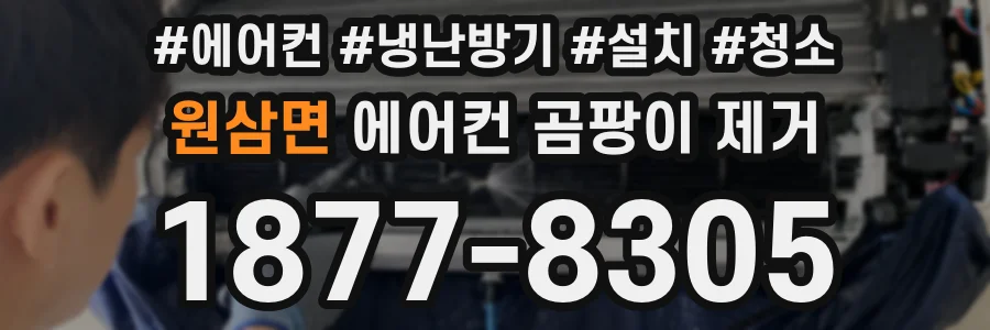 원삼면 에어컨 곰팡이 제거