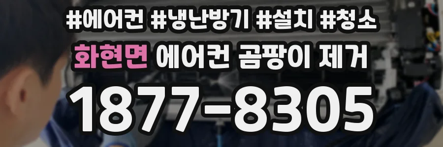 화현면 에어컨 곰팡이 제거
