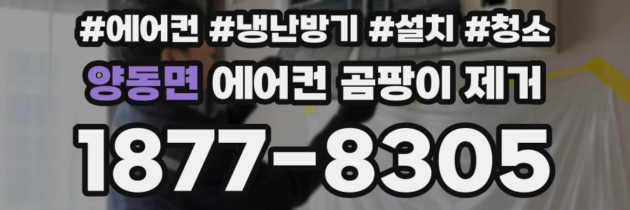 양동면 에어컨 곰팡이 제거