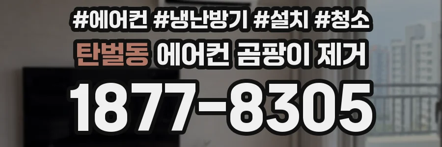 탄벌동 에어컨 곰팡이 제거