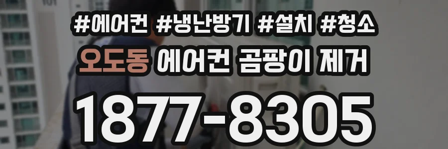 오도동 에어컨 곰팡이 제거