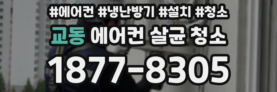 교동 에어컨 살균 청소