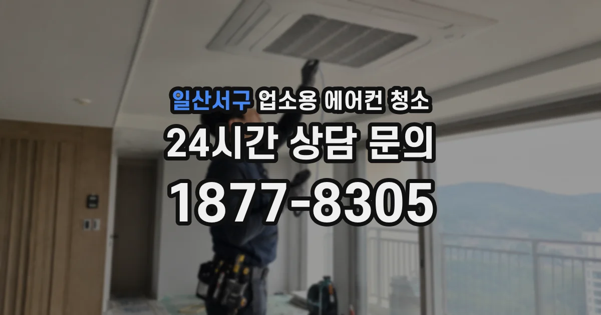 일산서구 업소용 에어컨 청소
