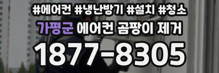 가평군 에어컨 곰팡이 제거