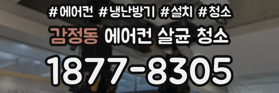 감정동 에어컨 살균 청소