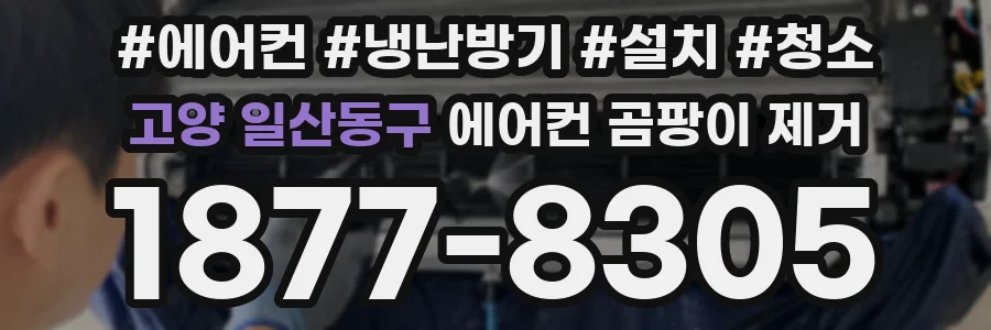 고양 일산동구 에어컨 곰팡이 제거