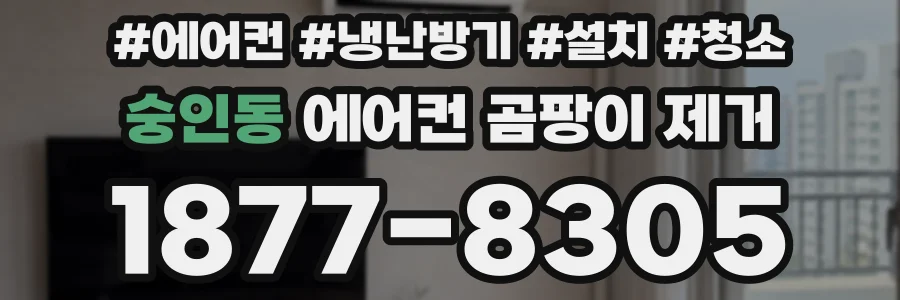 숭인동 에어컨 곰팡이 제거
