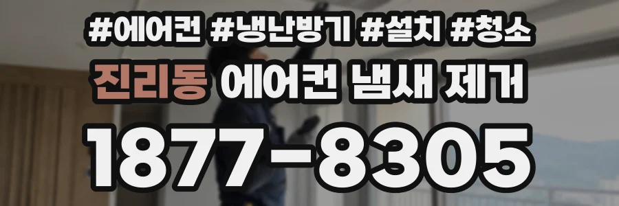 진리동 에어컨 냄새 제거
