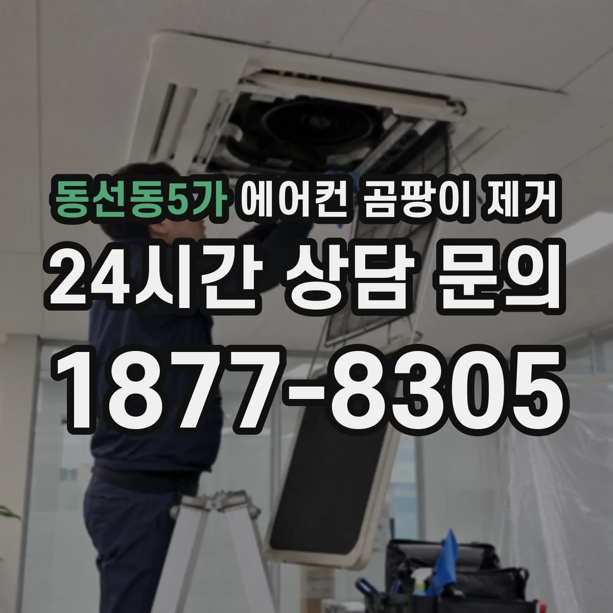 동선동5가 에어컨 곰팡이 제거