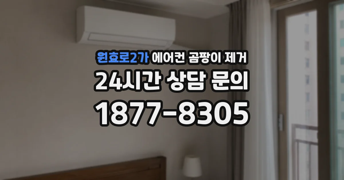 원효로2가 에어컨 곰팡이 제거