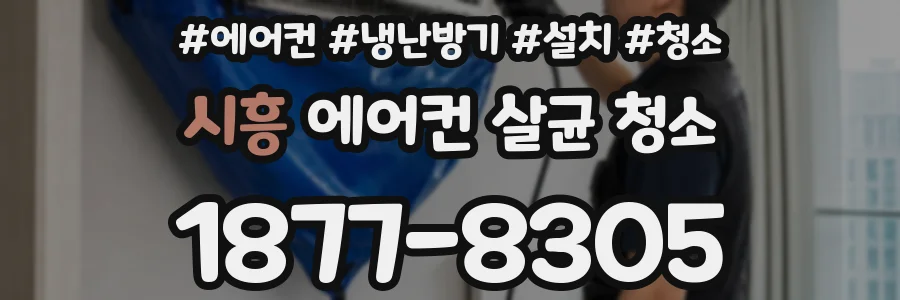 시흥 에어컨 살균 청소