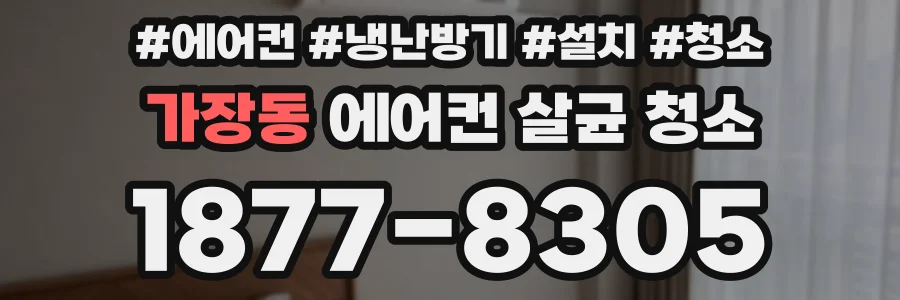 가장동 에어컨 살균 청소