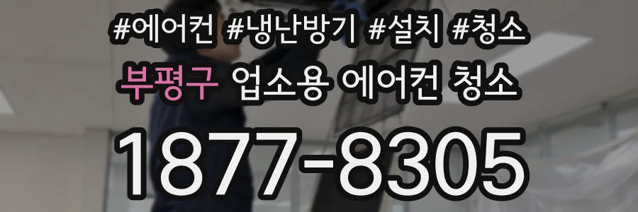 부평구 업소용 에어컨 청소