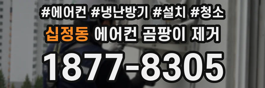 십정동 에어컨 곰팡이 제거