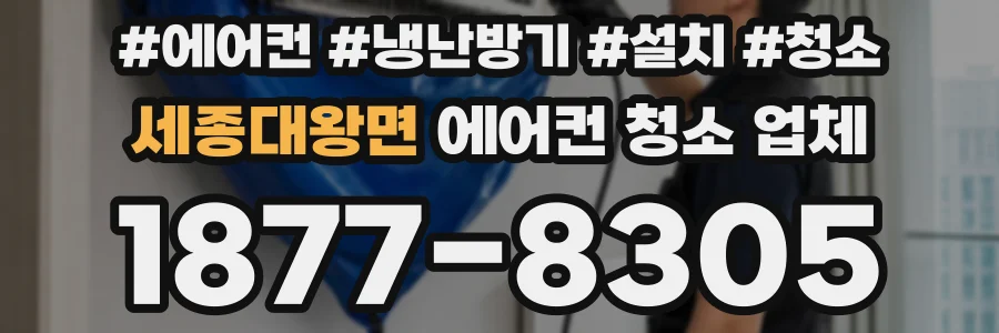 세종대왕면 에어컨 청소 업체