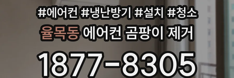 율목동 에어컨 곰팡이 제거