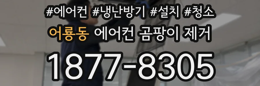 어룡동 에어컨 곰팡이 제거