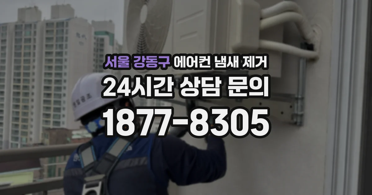 서울 강동구 에어컨 냄새 제거