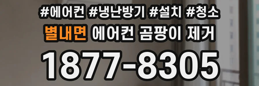 별내면 에어컨 곰팡이 제거