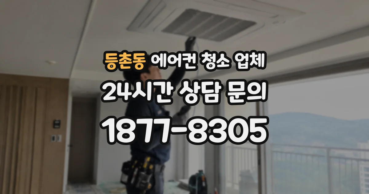 등촌동 에어컨 청소 업체