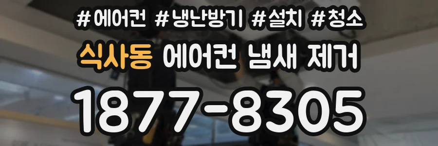 식사동 에어컨 냄새 제거