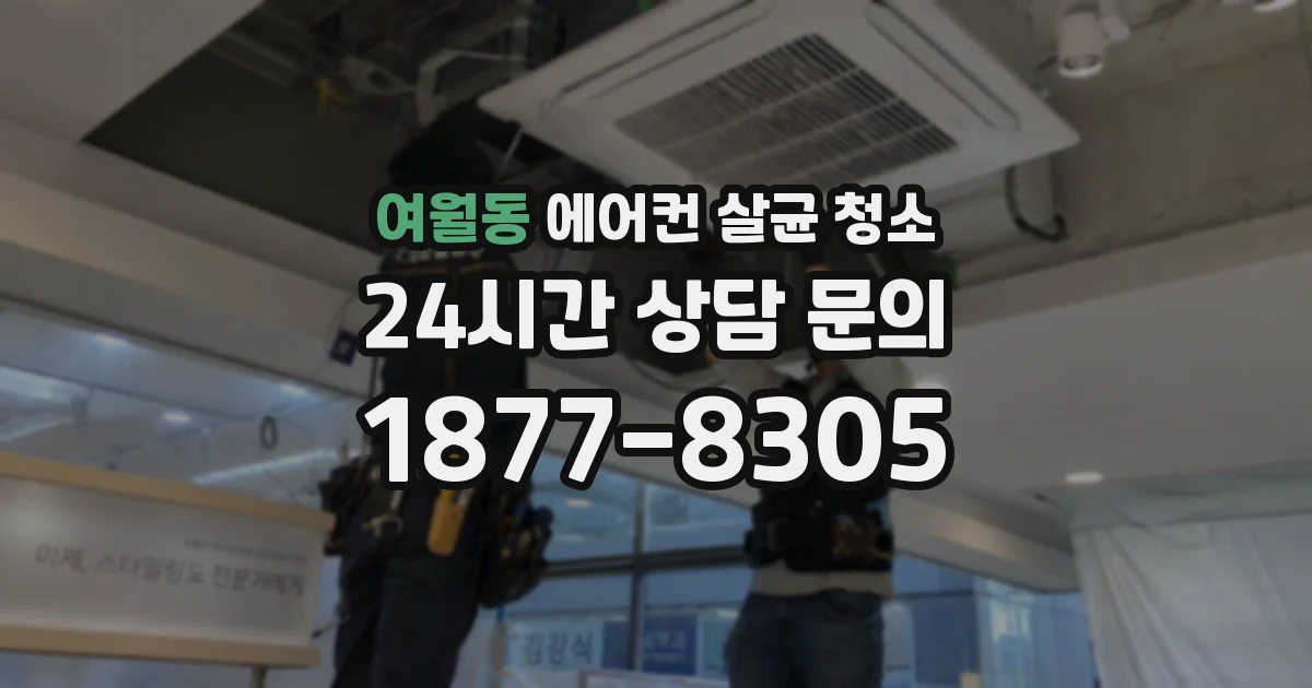여월동 에어컨 살균 청소