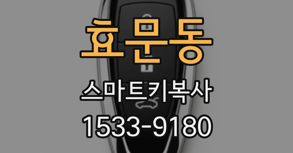 효문동 스마트키복사