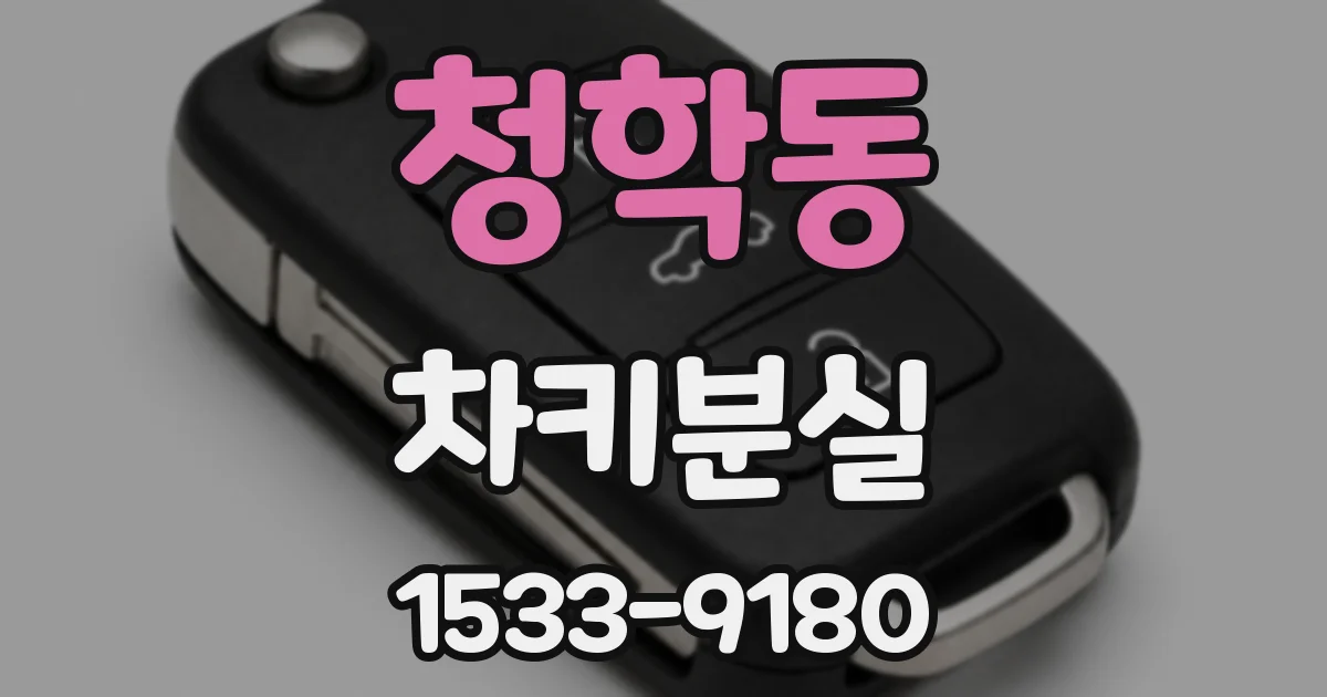청학동 차키분실
