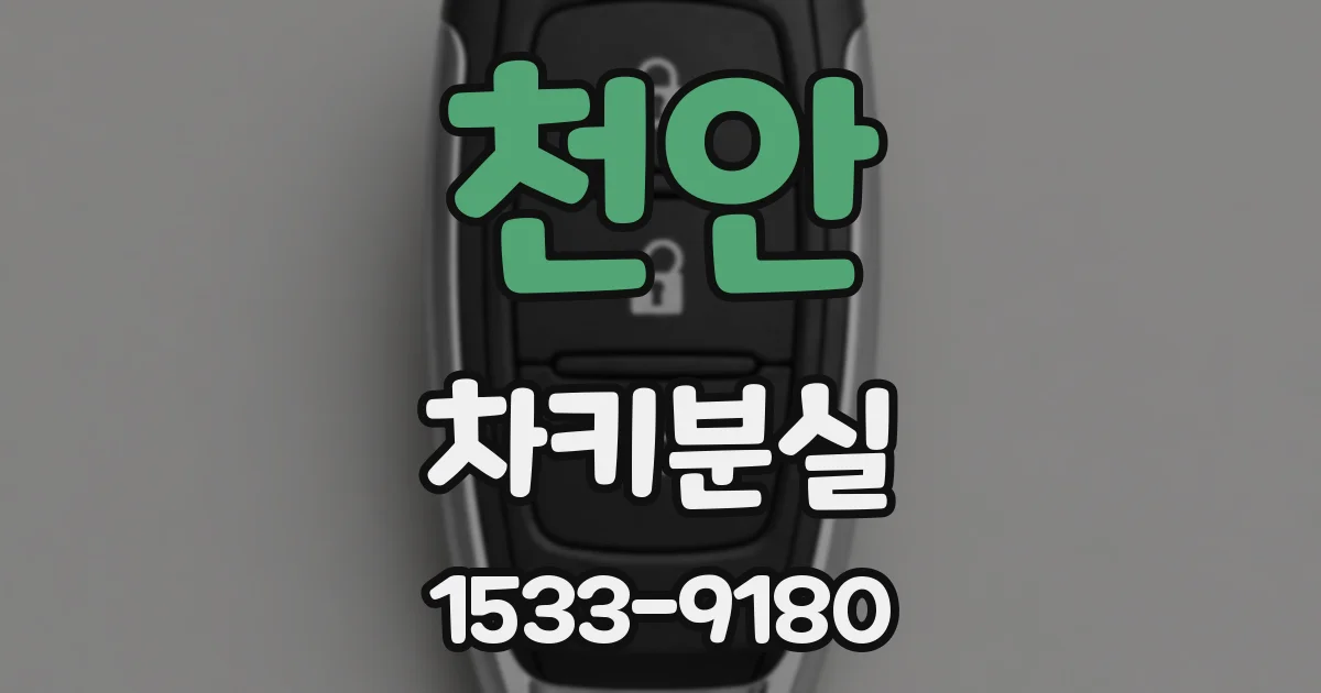 천안 차키분실
