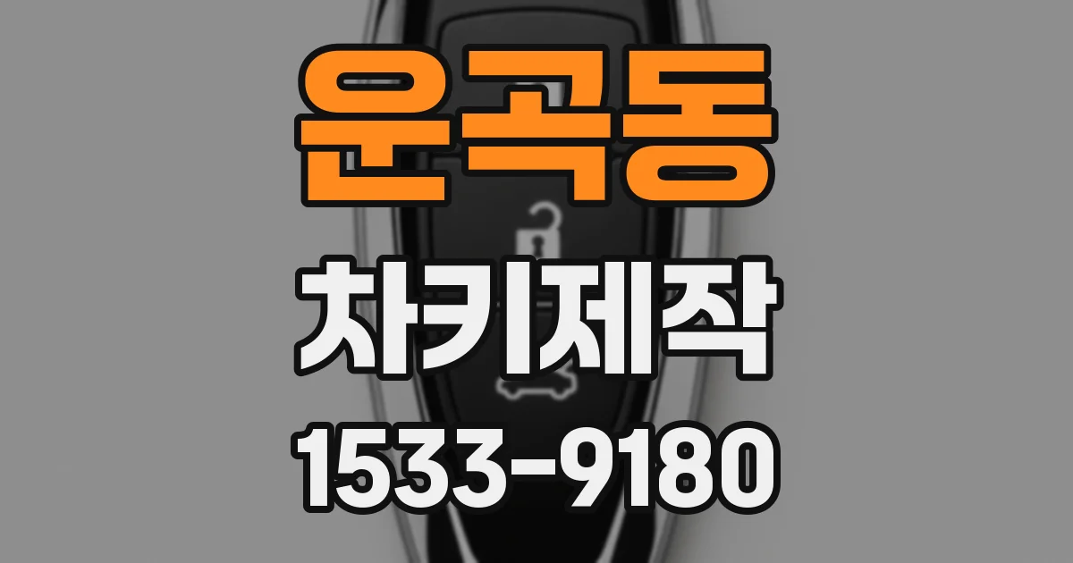 운곡동 차키제작
