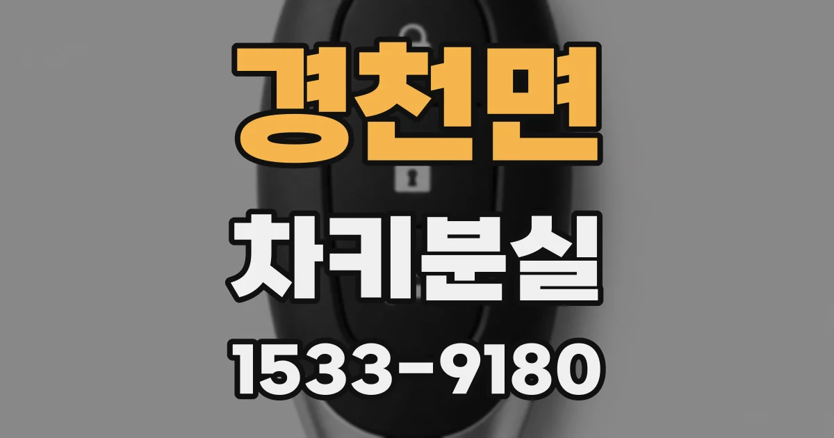 경천면 차키분실