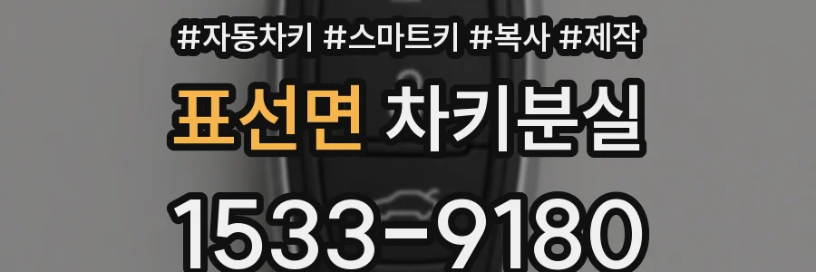 표선면 차키분실