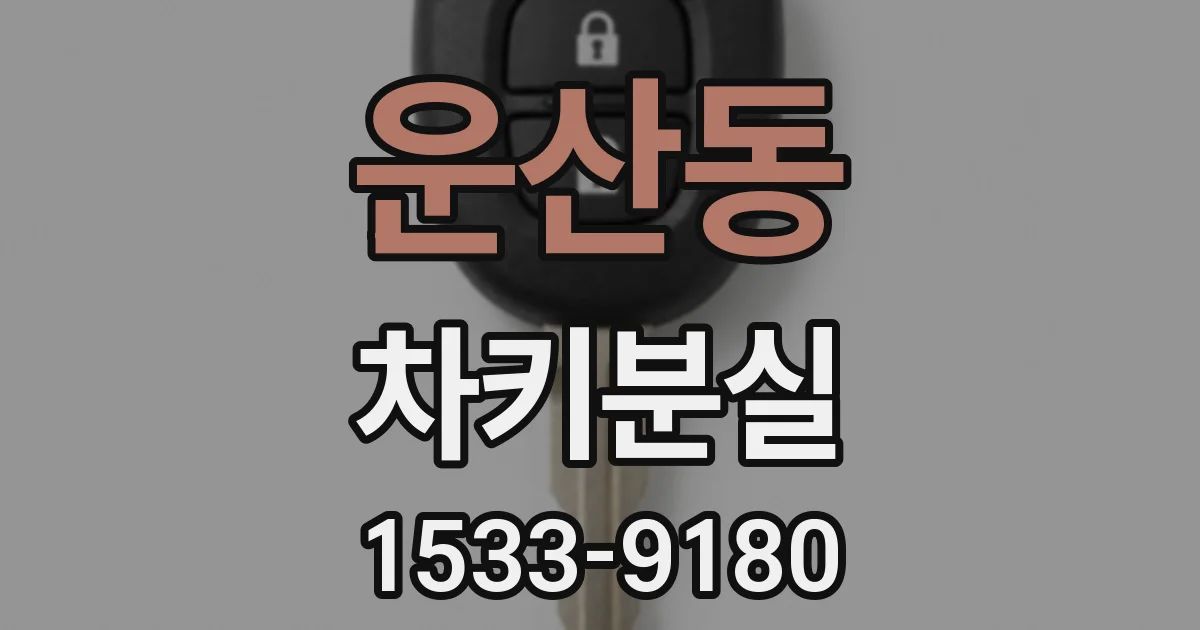 운산동 차키분실