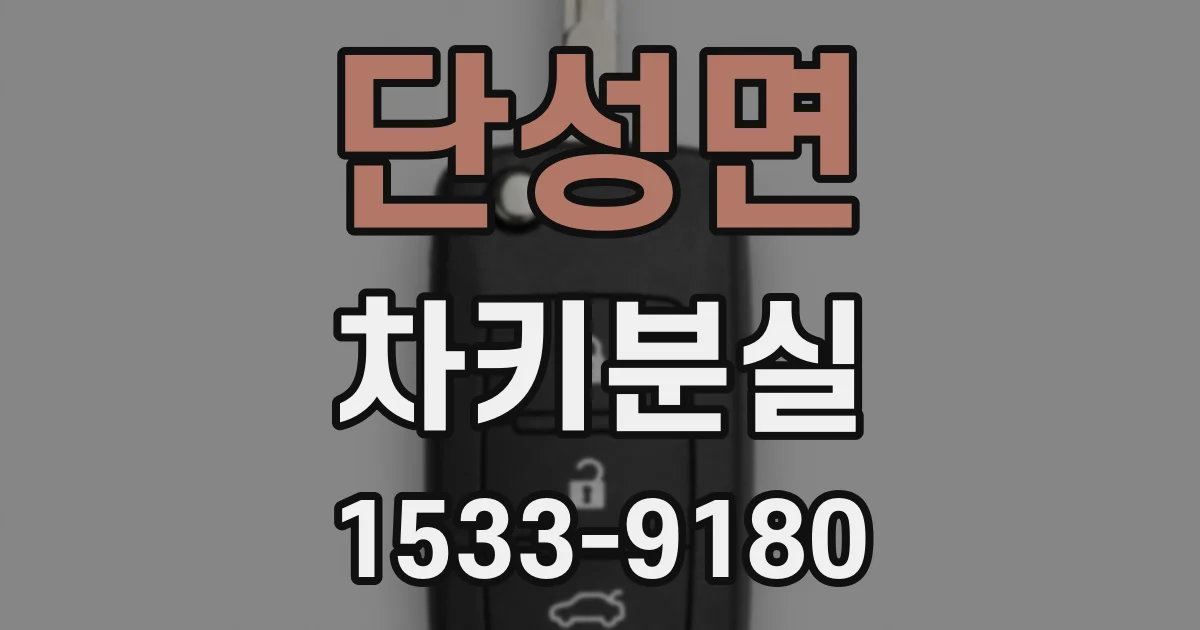 단성면 차키분실