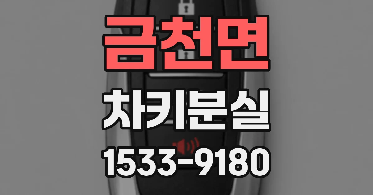 금천면 차키분실