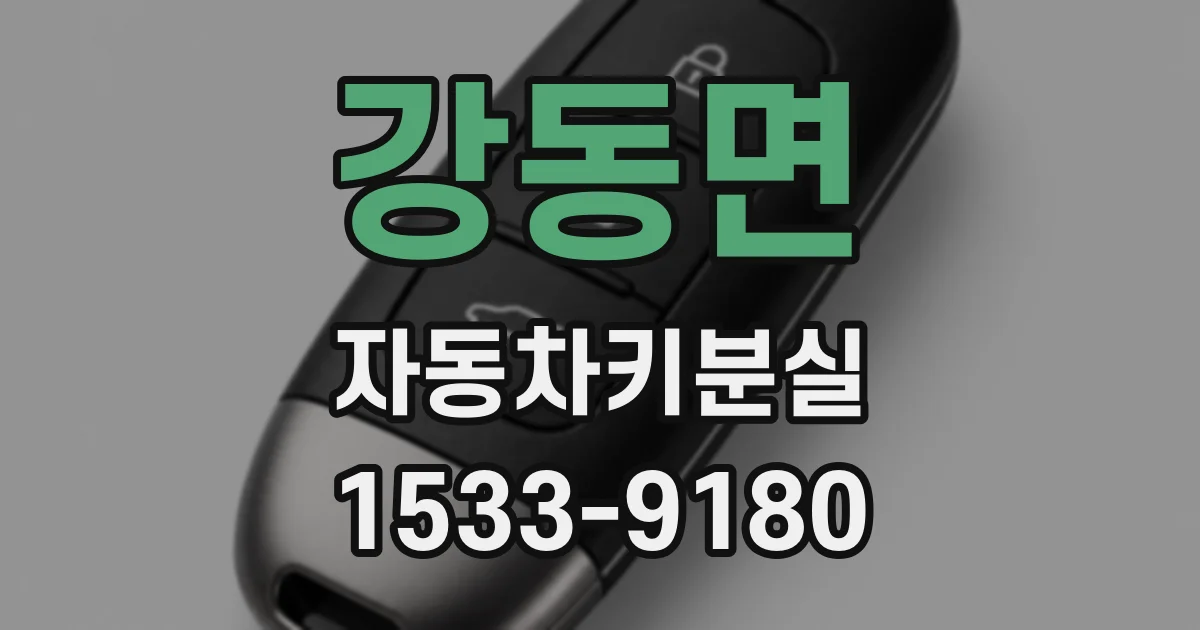 강동면 자동차키분실