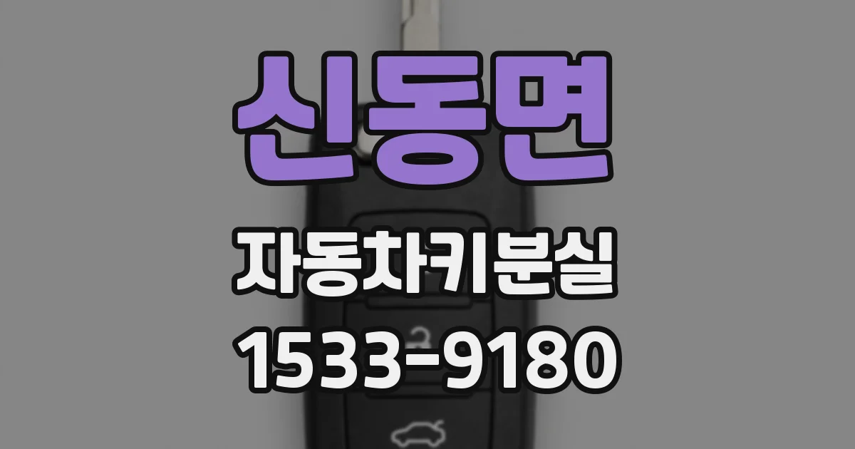 신동면 자동차키분실